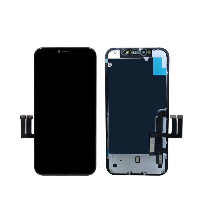 iPhone 11 Display