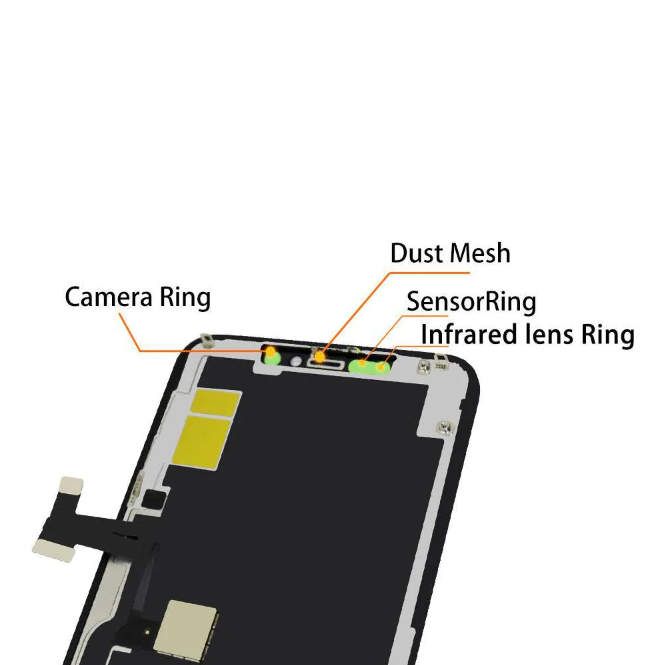 iPhone 11 Pro Display